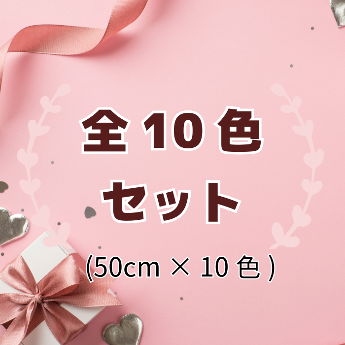 【50cm単位】 刺繍リボン 細幅 スパンコール 同系色で紡ぐ シンプル花柄 ② チュール 幅2cm 240322003
